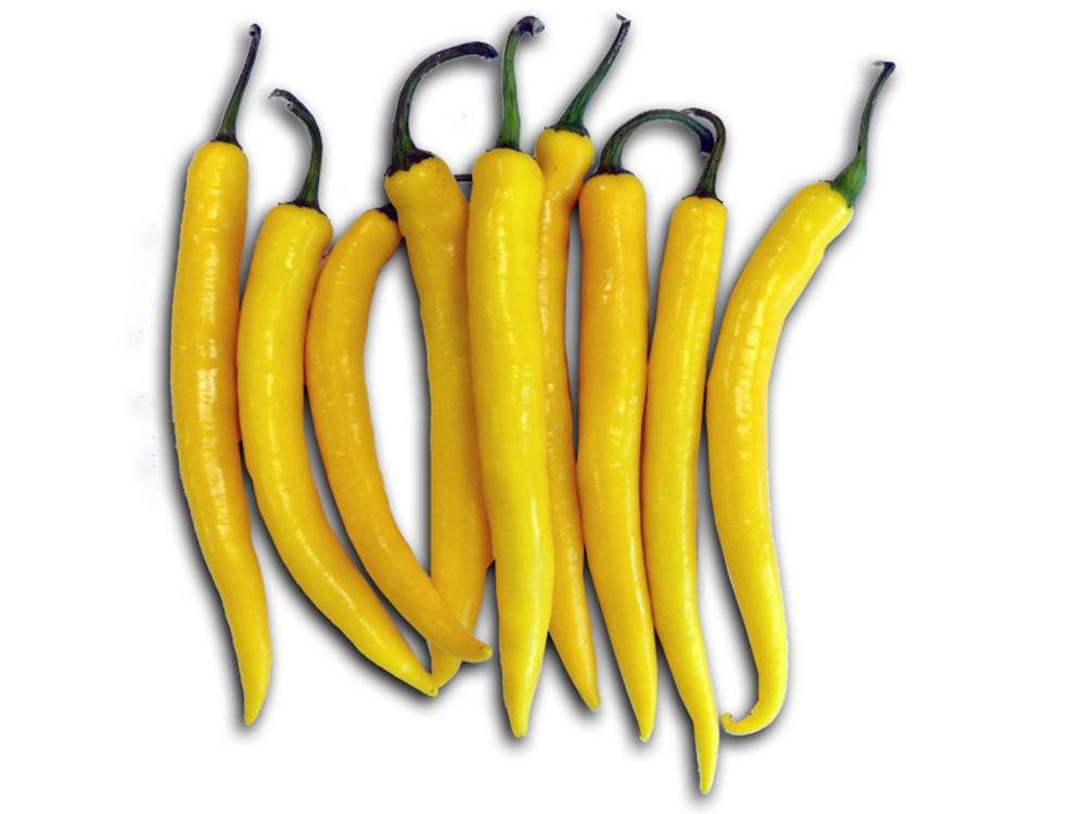 Yellow Cayenne paprika mag
