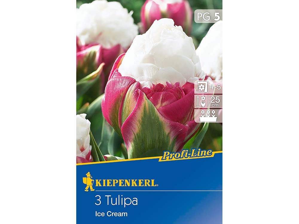 Tulipán Ice Cream