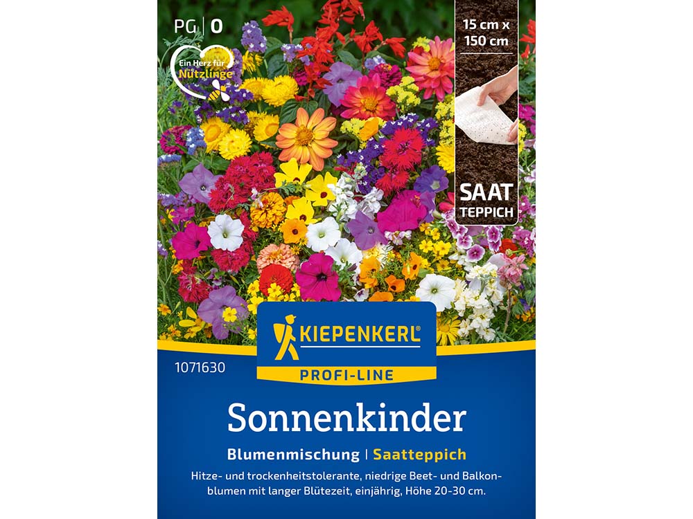 kánikula-1071630 kánikula-1071630