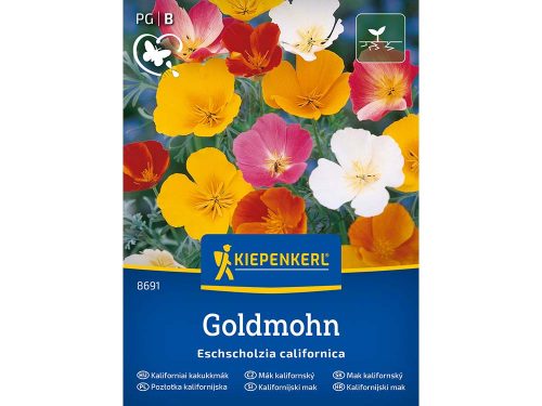 kaliforniai-kakukkmák--8691