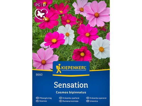 pillangóvirág-8660