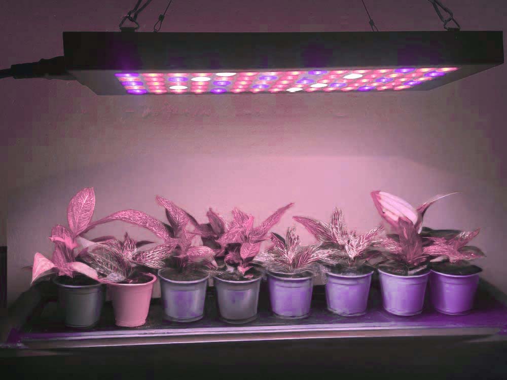 led növénynevelő lámpa led növénynevelő lámpa