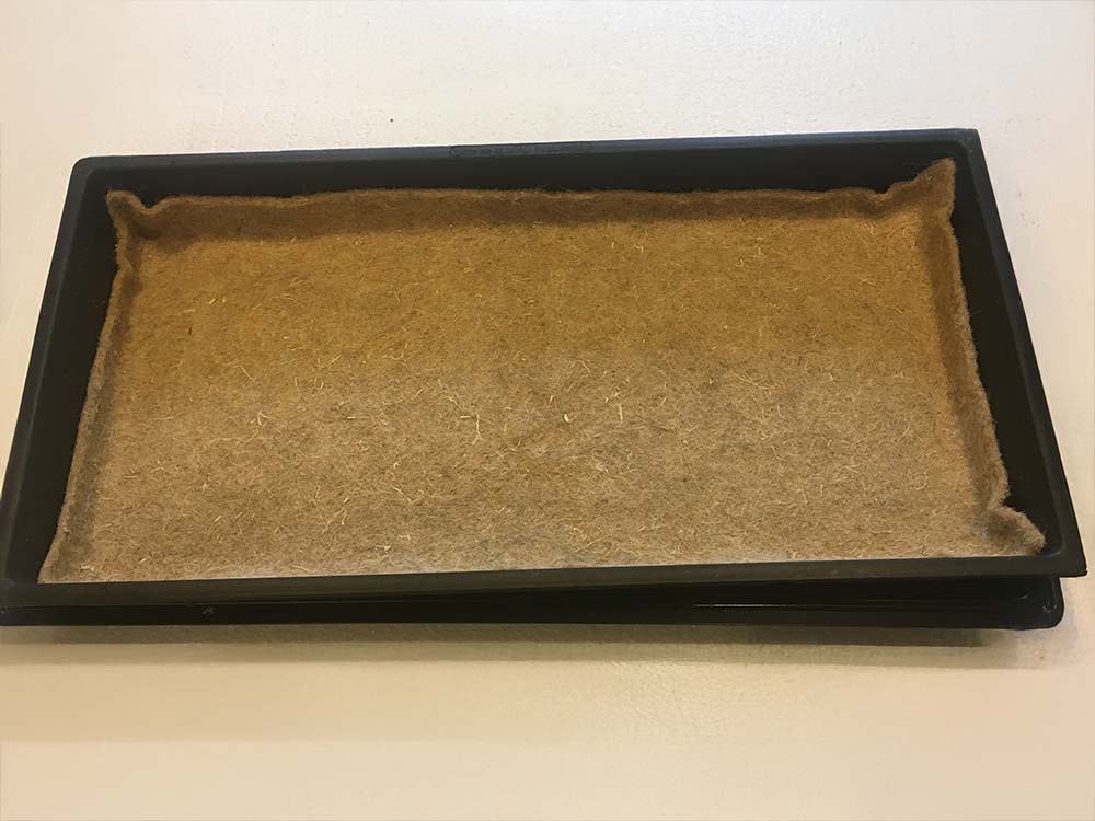 kender lap kender lap